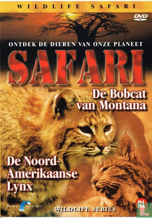 Safari: De Bobcat van Montana / De Noord-Amerikaanse Lynx poster