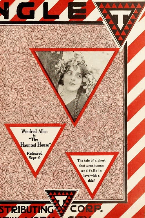 The Haunted House poster