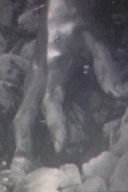 Broken Flesh Ecstasy poster