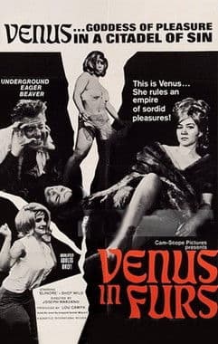 Venus in Furs poster