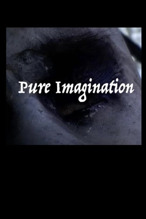 Pure Imagination poster