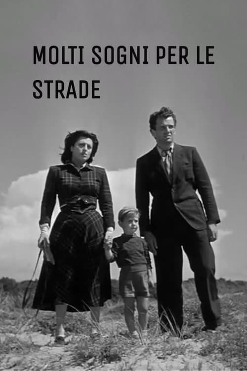 Woman Trouble poster