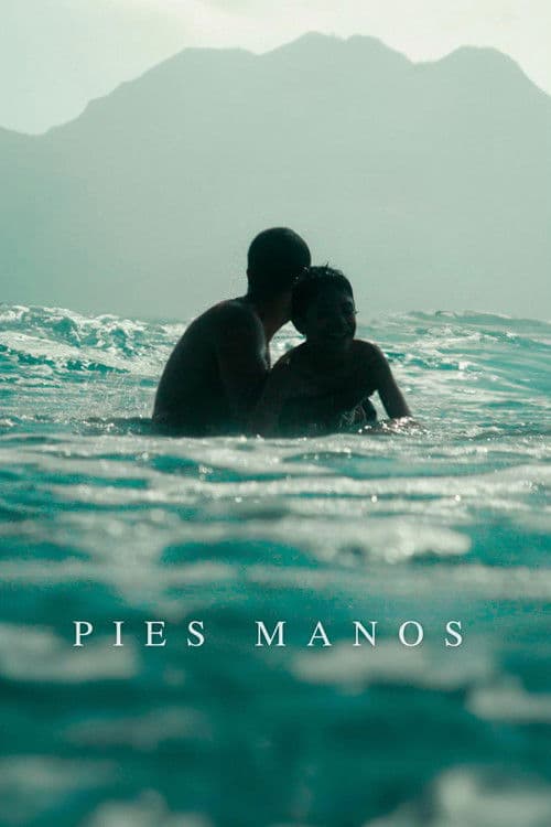 Pies Manos poster