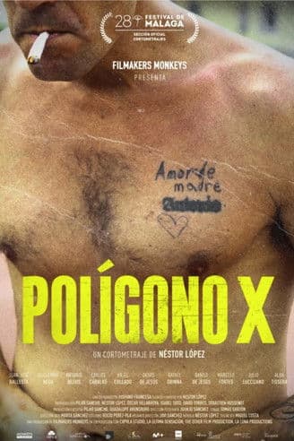 Polígono X poster