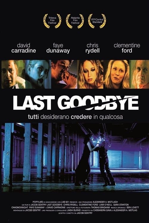 Last Goodbye poster