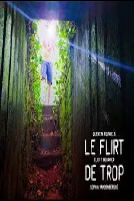 Le flirt de trop poster