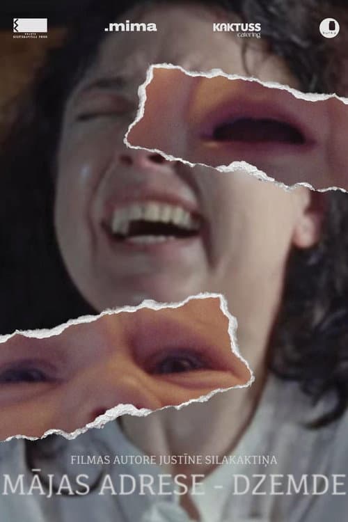 Home Address: Womb poster