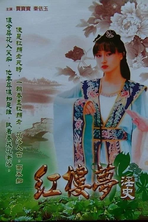 红楼梦淫史 poster