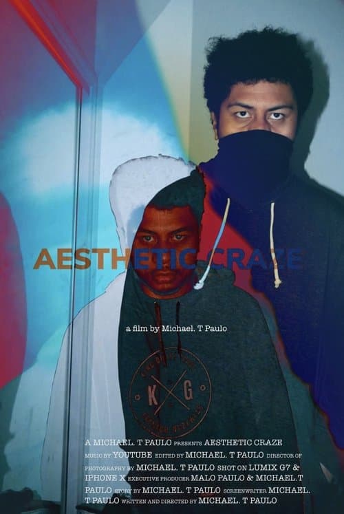 Aesthetic Craze poster