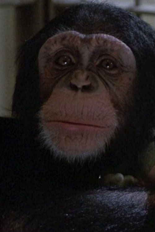 Willie profile photo