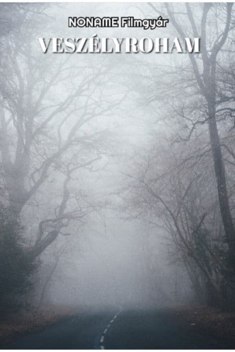 Veszélyroham poster