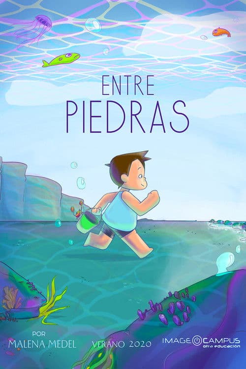 Between Tidepools poster