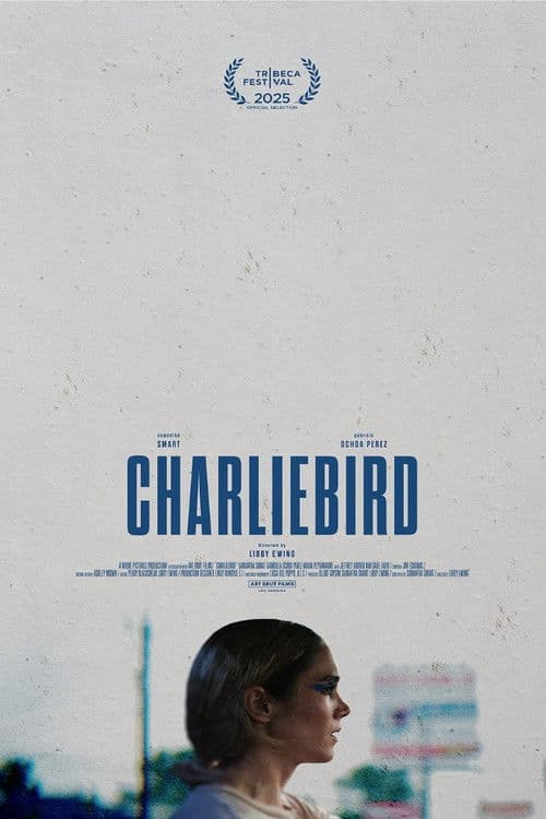 Charliebird poster