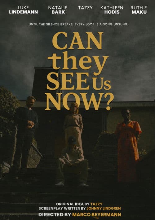 Can They See Us Now? poster