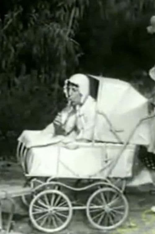 The Two Foxes poster