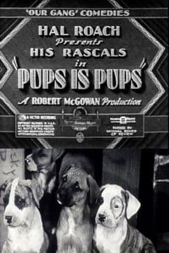 Pups Is Pups poster