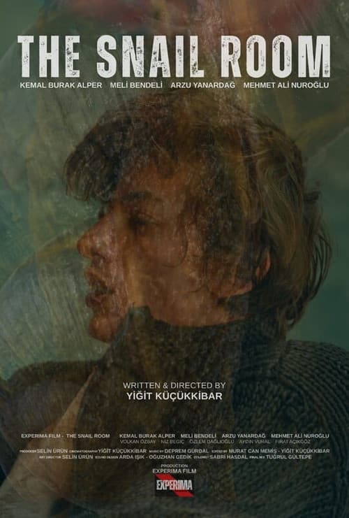 The Snail Room poster