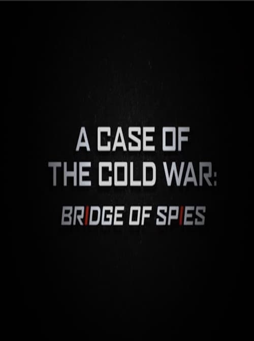 A Case of the Cold War: Bridge of Spies poster