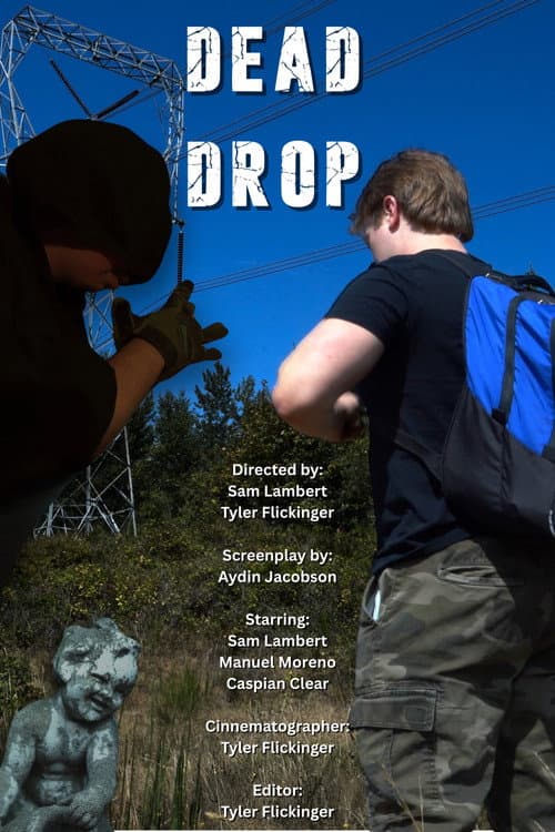 Dead Drop poster
