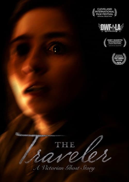 The Traveler poster