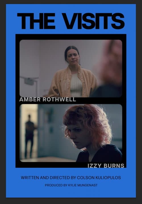 The Visits poster
