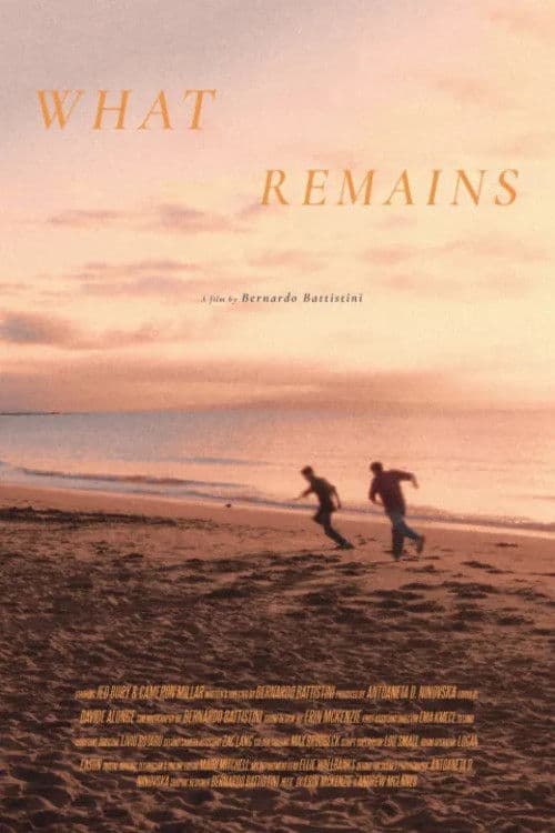 What Remains poster