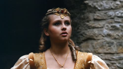 Princezna Slonbidlo poster