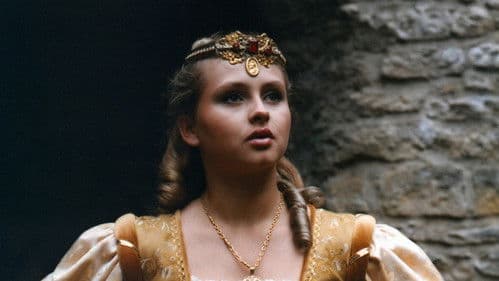 Princezna Slonbidlo poster