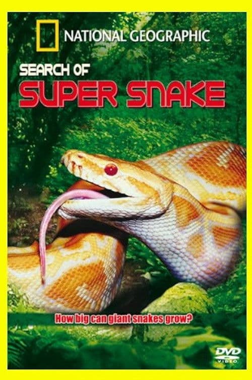 Search For the Supersnake poster