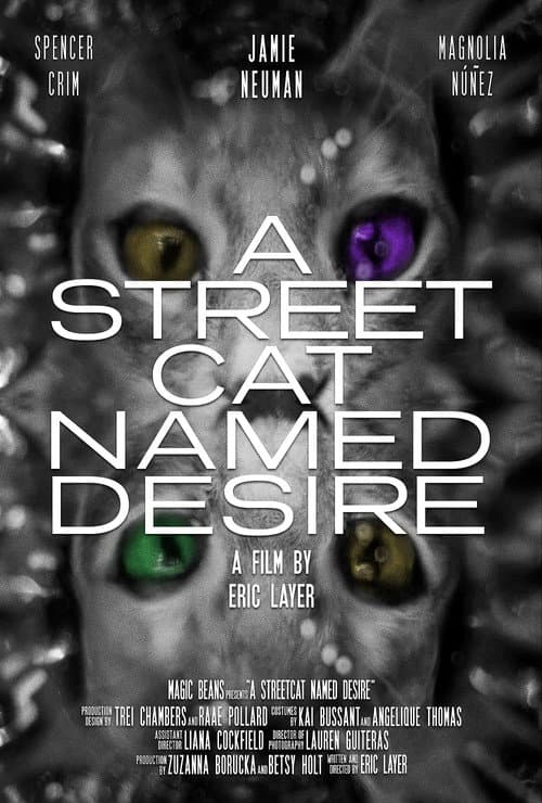 A street Cat Named Desire poster