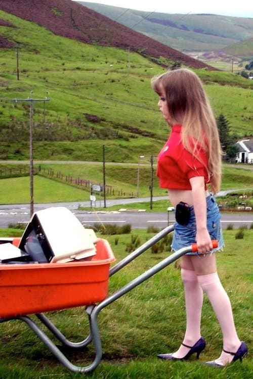 Little Red Hoodie poster