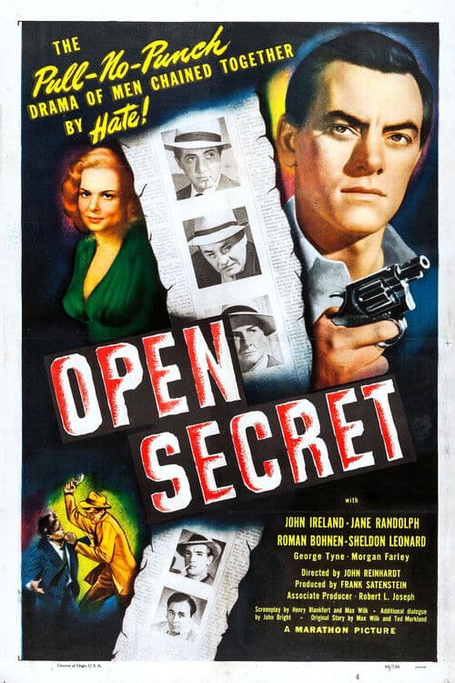Open Secret poster