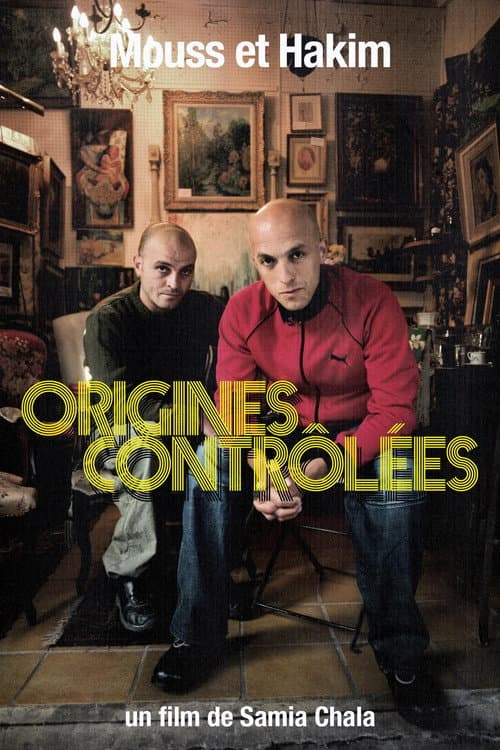 Mouss et Hakim,  controled origins poster
