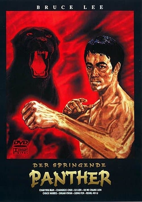 The Fist of Justice poster