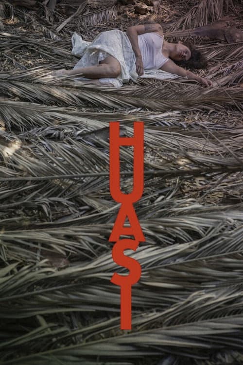 Huasi poster