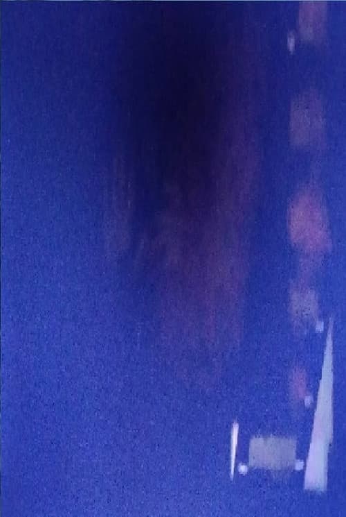 Kevin Casciani Nolan profile photo