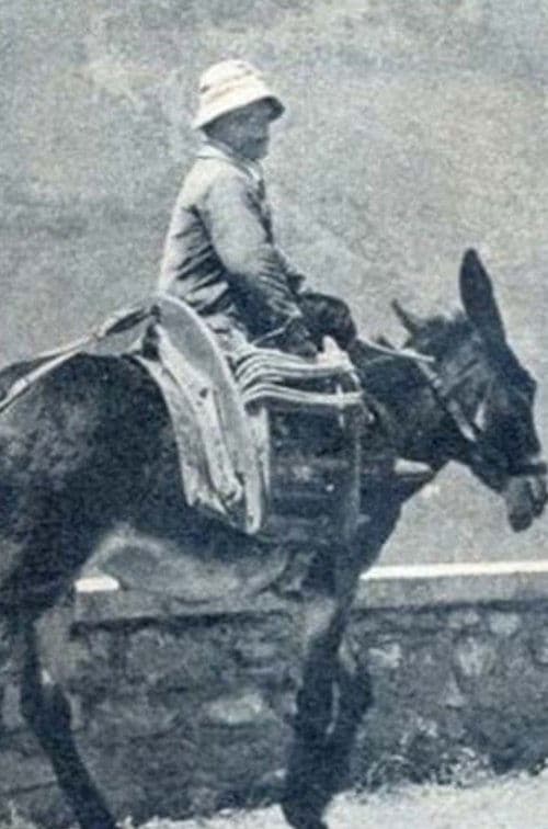 Mes ancêtres cagots