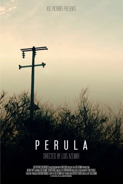 Perula poster