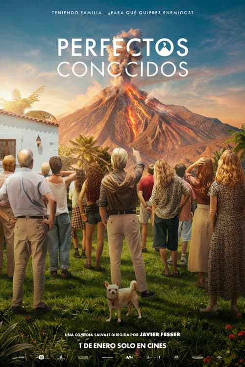 Perfectos conocidos poster