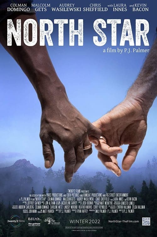 North Star poster