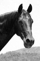 Highland Dale profile photo