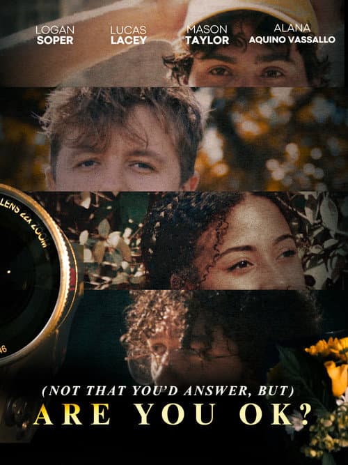 (Not That You'd Answer, but) Are You Ok? poster