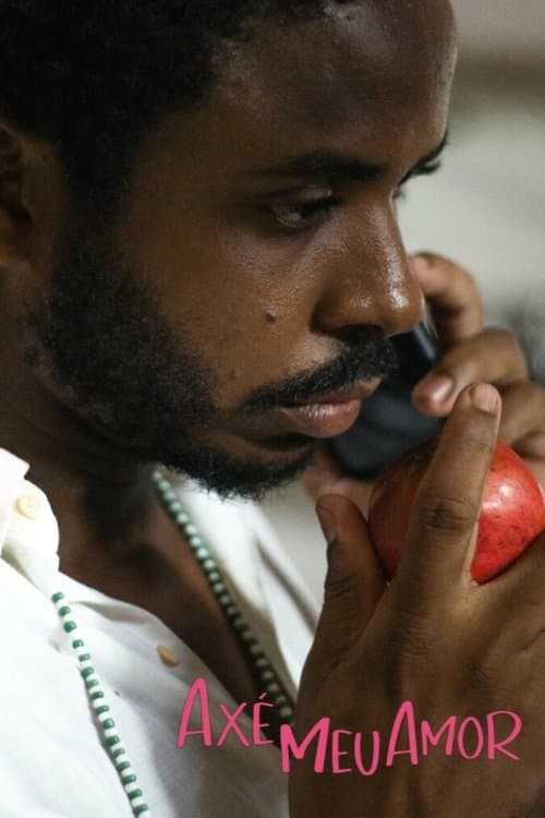 Axé meu amor poster