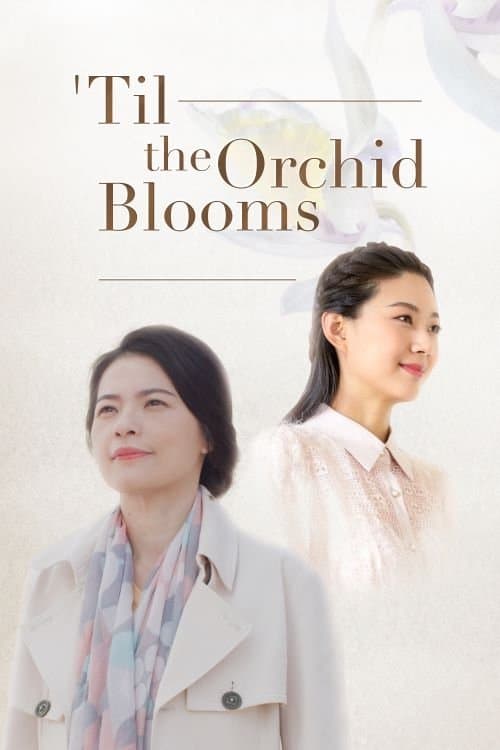 Til the Orchid Blooms poster