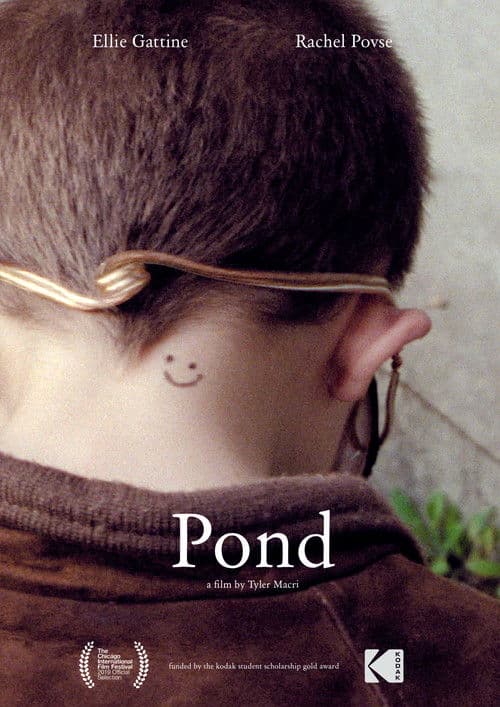 Pond poster
