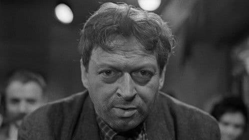 Soud pana Havleny poster