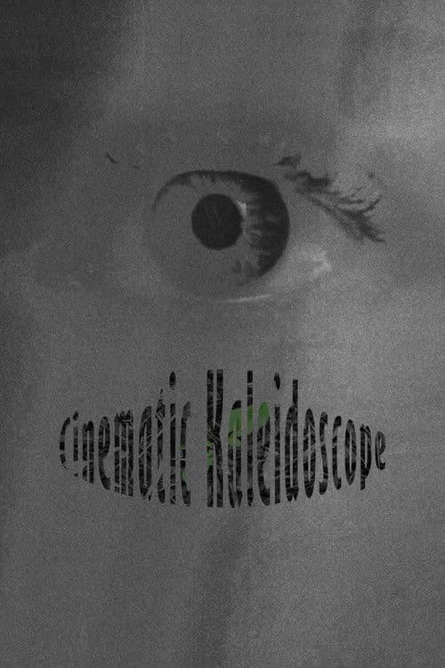 Cinematic Kaleidoscope poster