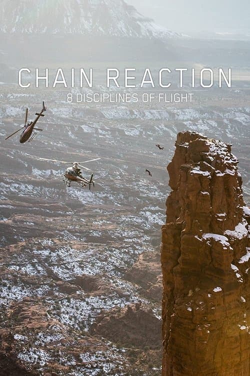 Chain Reaction - 8 Disciplines of Flight poster