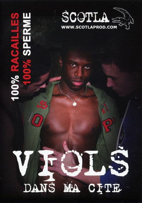 Viols dans ma cité poster