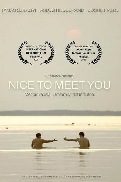 Nice to Meet You poster